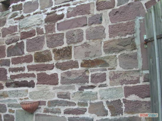 Kanu_Fahrt_auf_der_Diemel_66