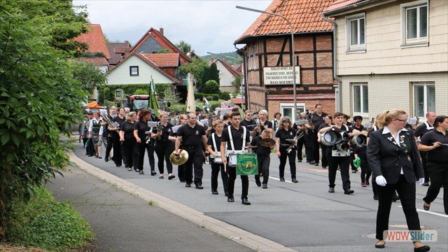 Sonntag 2017 Umzug_15